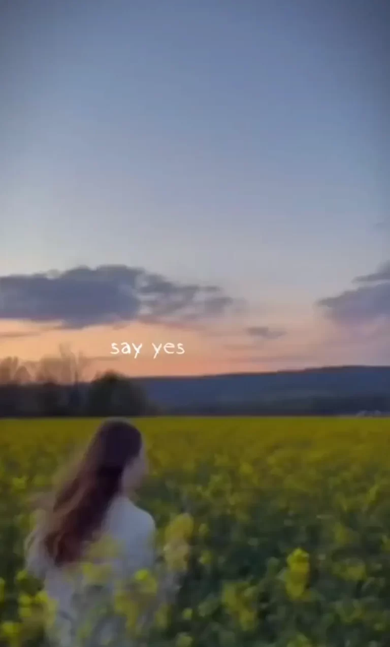 Yes to Heaven CapCut Template