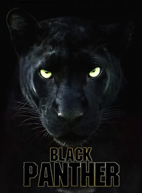 Black Panther CapCut Template