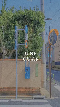 June Dump Capcut Template